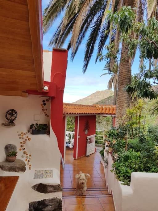 Ferienwohnung Hyggeland II - Oase Der Ruhe Im Palmendorf Tazo Vallehermoso Exterior foto